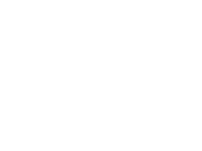 Anaplan Delivery Partner logo